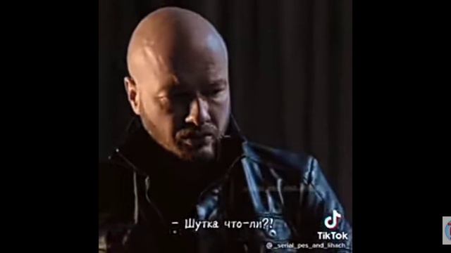 пса хотят усипить смотреть онлайн