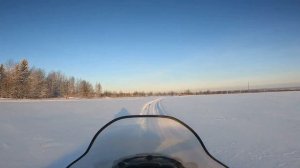 Тайга Патруль 800 swt  Охота на лося.