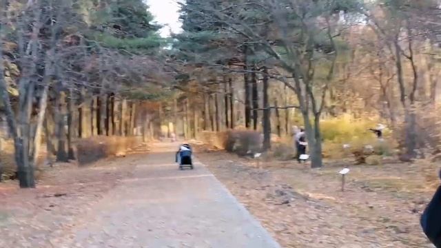Ведьмина могила и прогулка по злачным местам! смотреть онлайн
