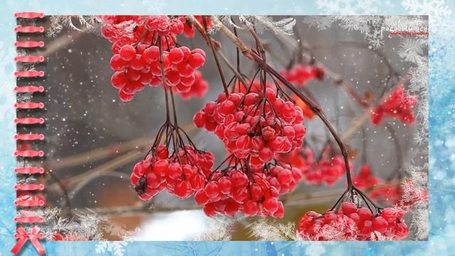 Доброго утра! Хорошего дня! смотреть онлайн