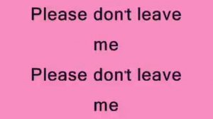 Pink - please don't leave me lyrics
