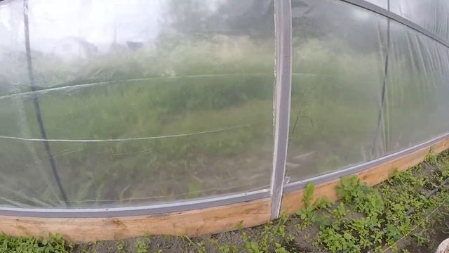 Теплица комбинированная / Пленка + поликарбонат / Обзор 11 июня 2017 смотреть онлайн