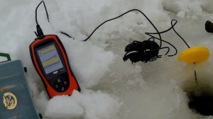 Рыбалка с Эхолотом Lucky FF1108-1CT. Доступный эхолот для всех!