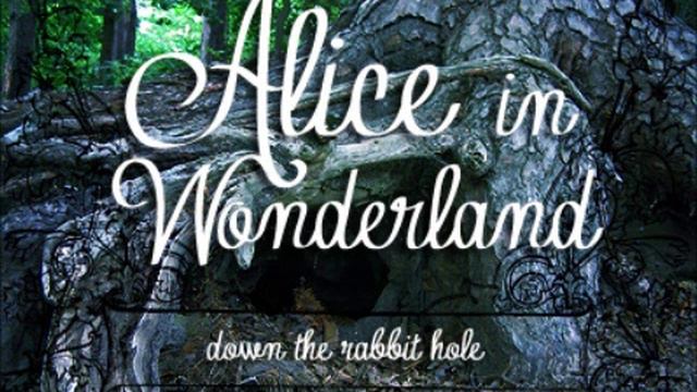Alice in Wonderland Chapter 1 - Down the Rabbit Hole смотреть онлайн