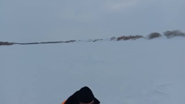 Рыбалка с ночевкой с 14 на 15 марта 2022. Плотва, щуки, налим. смотреть онлайн