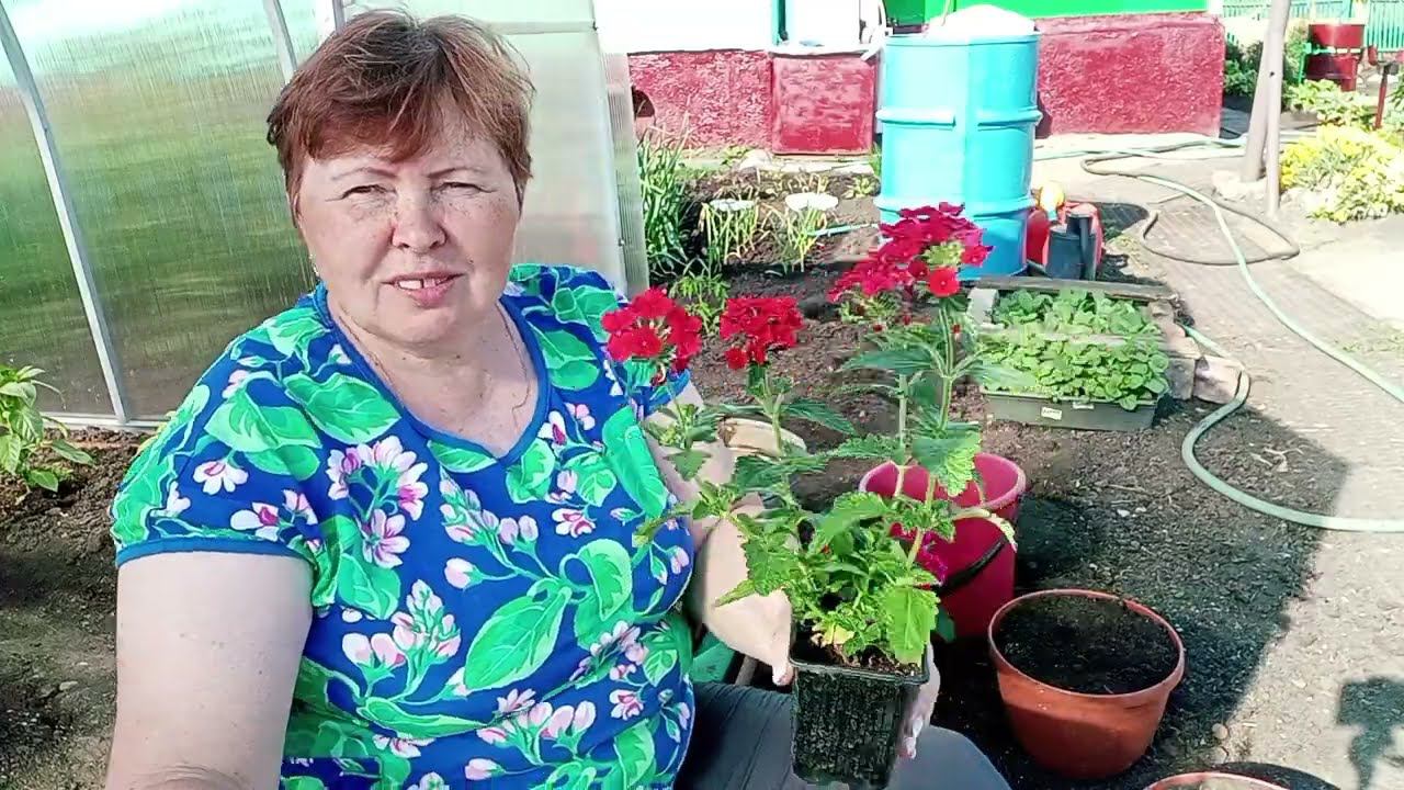 Жизнь в деревне.Хроника дня. смотреть онлайн