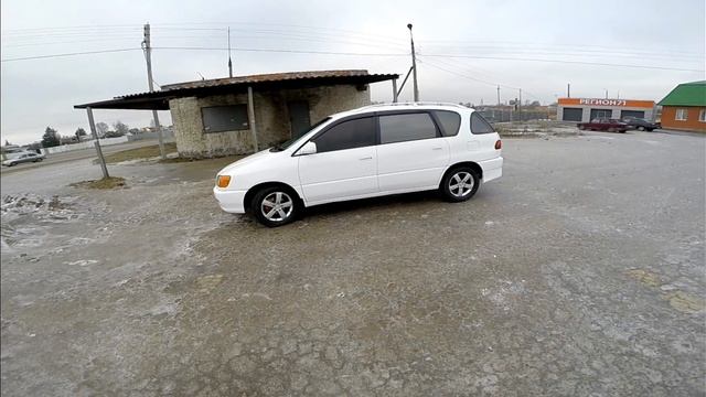 Тойота Ипсум