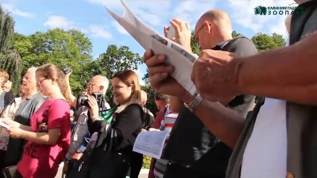 "Под липой" В. Фогельвейде смотреть онлайн