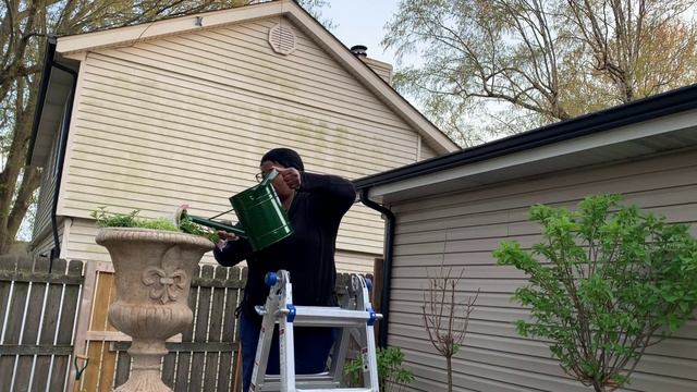 Supertunia Care / Garden Queen / #SupertuniaCare смотреть онлайн