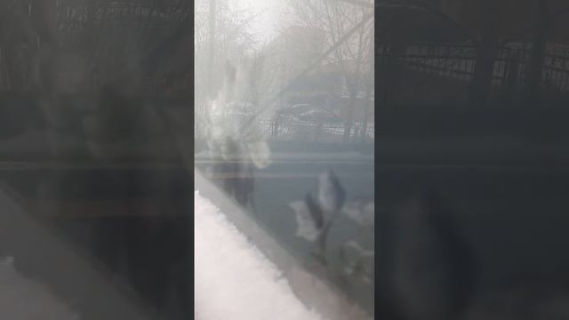 с праздником мамочек ? смотреть онлайн