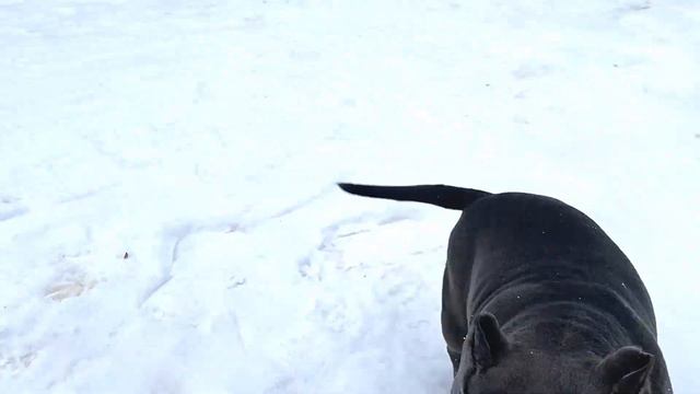 Близняшки? Нет! смотреть онлайн