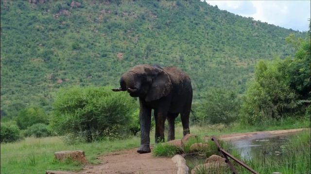 Энигма релакс музыка для сна. Музыка без авторских прав. Энигма лучшее