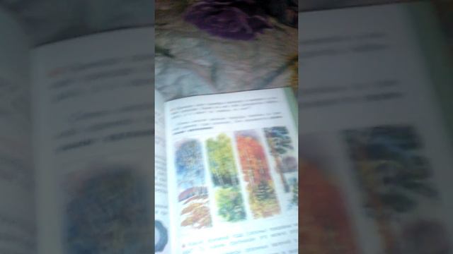 Люблю природу осень обожаю окружающий мир смотреть онлайн