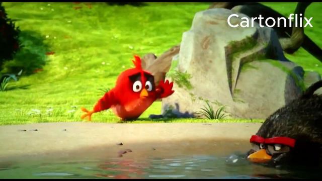 Amazing meeting with Eagle baba |Angry Bird very funny | Eagle baba Funny смотреть онлайн