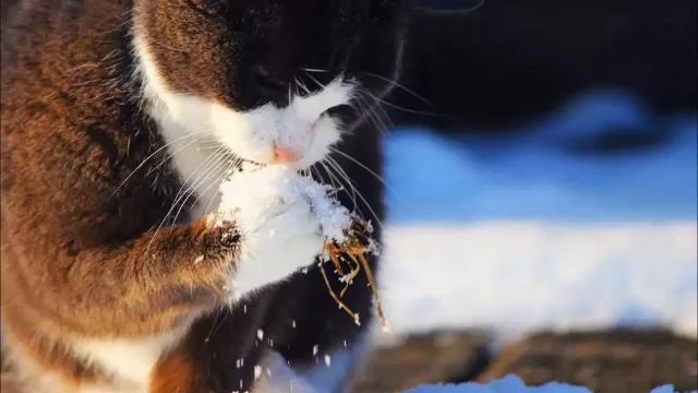 РЭП в 60 лет только начинается или Здравствуй ###### Новый Год смотреть онлайн