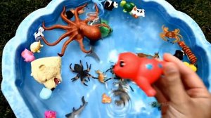 Учим цвета животных акул в голубой воде игрушки обобщающие на английском