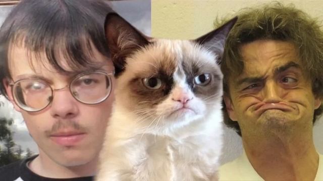 Best Kittycat Song [OFFICIAL] feat. GRUMPY CAT смотреть онлайн