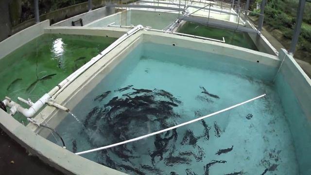 База отдыха 