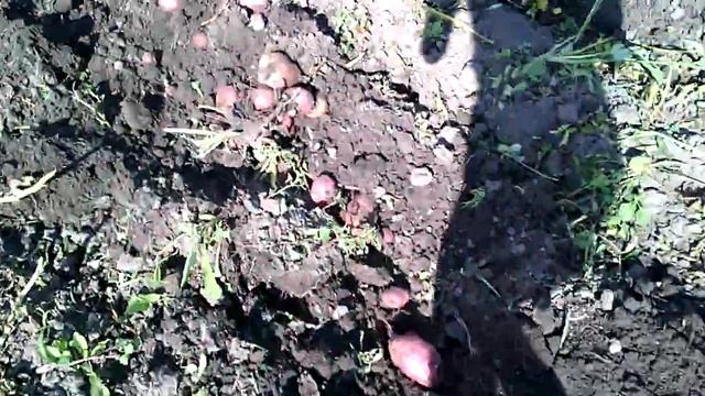 Копалка самодельная смотреть онлайн