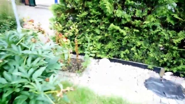 VLOG/мои цветы/купальники OYSHO/уходовая косметика смотреть онлайн