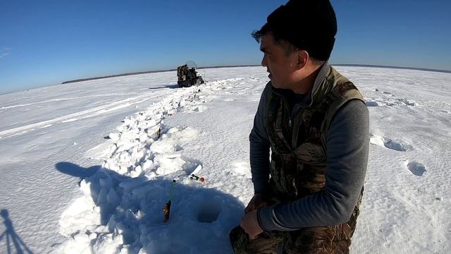 Весенняя рыбалка на берша, судака на тюльку. смотреть онлайн