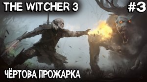 Ведьмак 3 - прохождение nextgen версии игры. Жарю черта и опускаю грифона без смс и регистрации #3