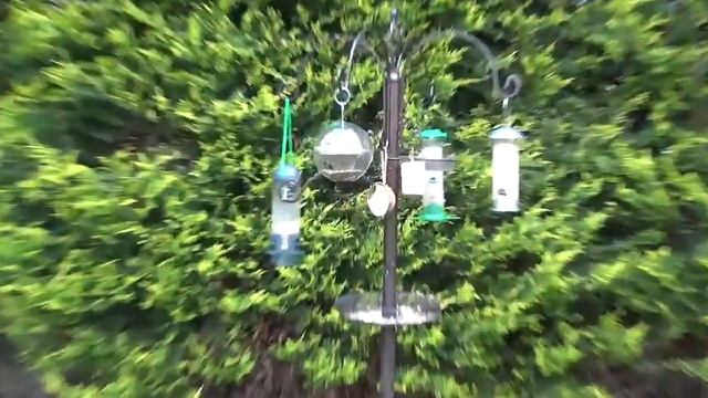 Sony PJ810e 25fps Test Footage смотреть онлайн