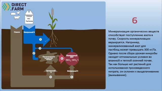 Вымывание нитратов. Потери азота в почве смотреть онлайн