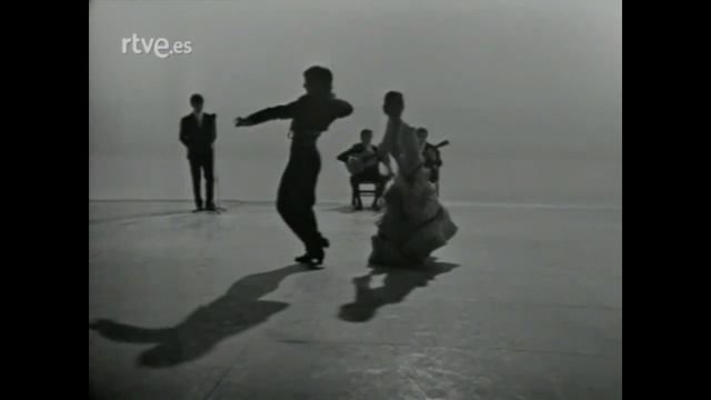 El cuadro Flamenco de Alicia Díaz смотреть онлайн
