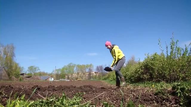 «Удача на даче» выпуск 6 Капуста смотреть онлайн