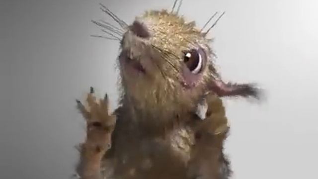 Hell Squirrel Belka Адская Белочка.flv смотреть онлайн