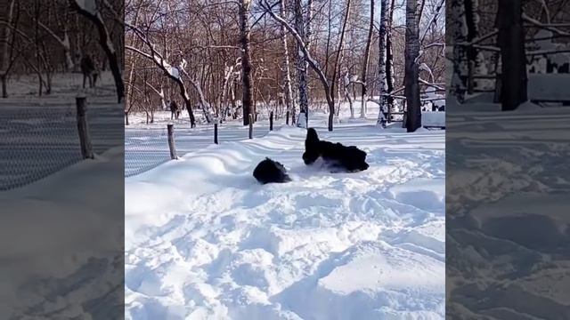 02.02.2020. Хороший день!