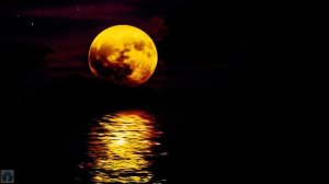 ᙢᑌᘜᙓᙢᙅᏦᗣᖆ ᙨᙁᙓᕫᙢᗣ