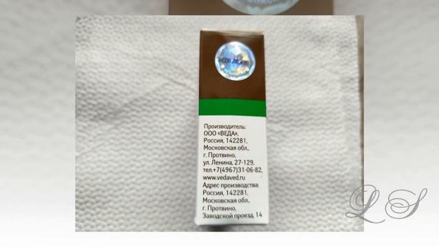 Ошибка в воспитании кошки. Как не навредить коту. Как нельзя наказывать смотреть онлайн