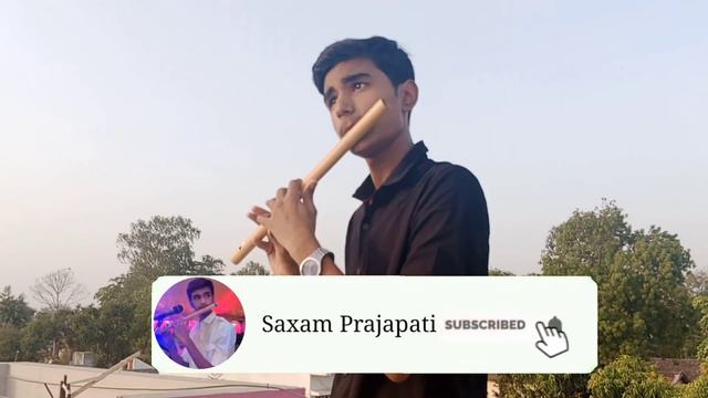 Pasoori Cover Song | Instrumental song | Coke studio season 14 | 😍 смотреть онлайн