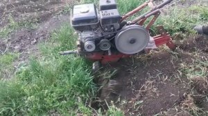 Вспашка огорода мотоблоком 2021