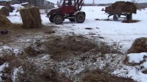 трактор самодельный вилы для погрузчика в работе