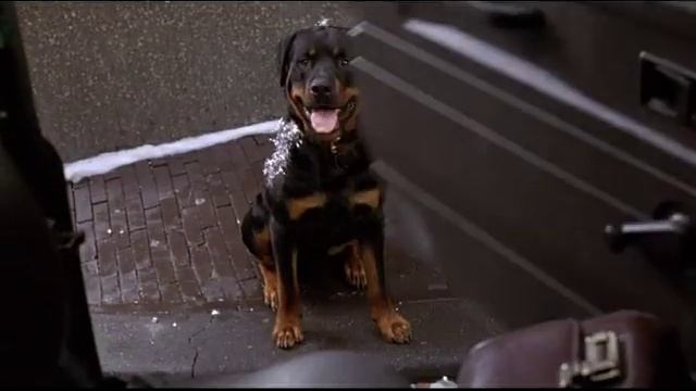 Том и Томас встретятся в канун рождества смотреть онлайн