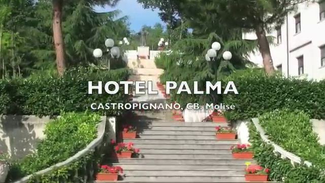 Hotel Palma смотреть онлайн