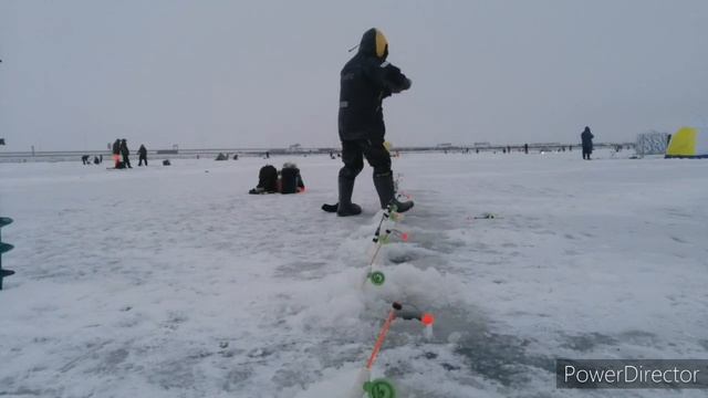 Корюшка 2021! Южная Дамба 17.01.2021.