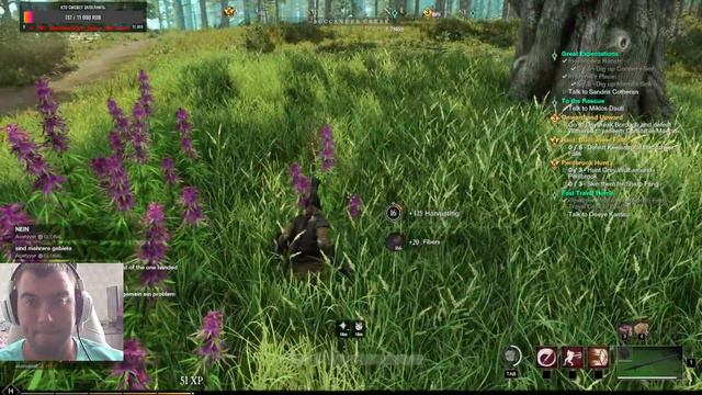 New World збт день 3 смотреть онлайн