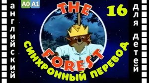 Magic English 16 - The Forest (HD) | Английский для детей и взрослых
