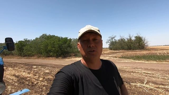 Уборка урожая 2020 Экспериментальное поле смотреть онлайн