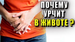 Почему урчит в животе
