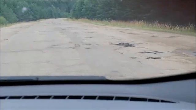 Поле борщевика и дорога от которой просто ШОК !!! смотреть онлайн