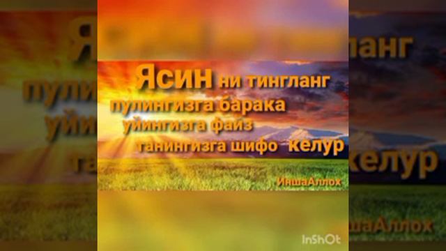 ЯСИН СУРАСИНИ ТИНГЛАНГ ВА ХАР ИШДА ОМАД КЕЛУР#сура #ясин #шифо #surahyaseen #surayasin