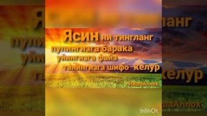 ЯСИН СУРАСИНИ ТИНГЛАНГ ВА ХАР ИШДА ОМАД КЕЛУР#сура #ясин #шифо #surahyaseen #surayasin