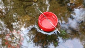 Как сделать своими руками компас из иголки и крышки