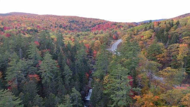 ЗОЛОТАЯ ОСЕНЬ! КРАСИВАЯ МУЗЫКА ДЛЯ ДУШИ! MusicForTheSoul 2020