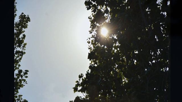 "Наш край" (автор А. Пришелец) читает Ольга Долгих смотреть онлайн